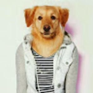 Meet your Posher, Jun